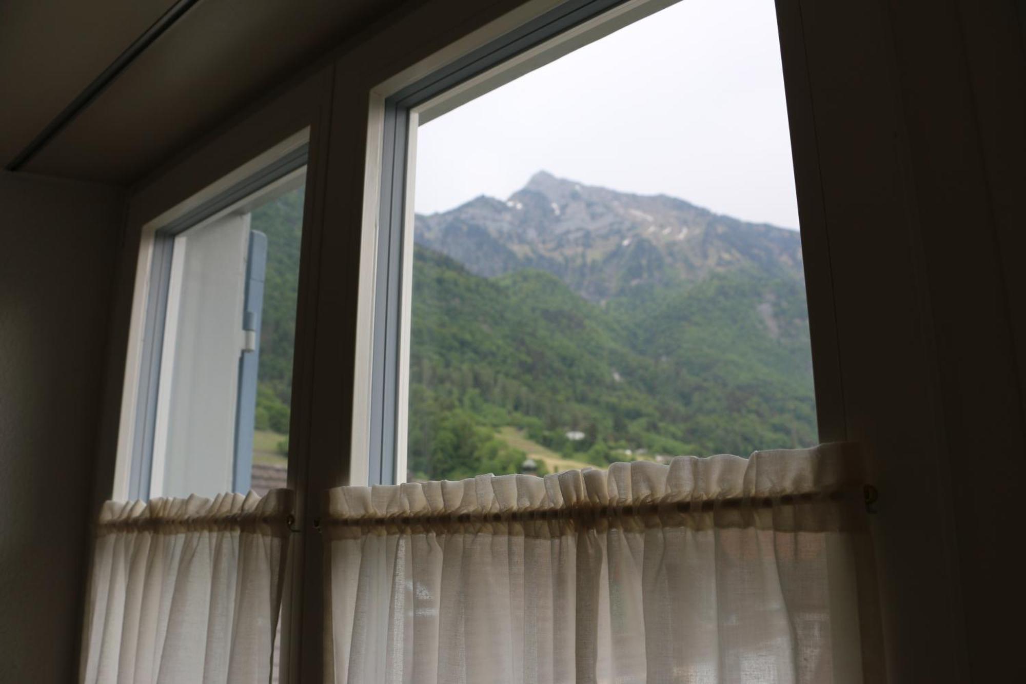 Hotel Lowen *